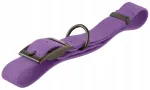 Vett h&uuml;lgav koera kaelarihm Dog Crazy, lilla, M suurus, 40&ndash;50 cm, 25 mm