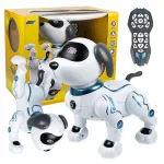 Programmeeritav RC koer-robot h&auml;&auml;lejuhtimise ja puldiga