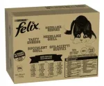 FELIX kassitoit, 120 x 80 g, lihat&uuml;kid ja kalafilee kastmes, kott