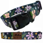 Reguleeritav koera kaelarihm nime ja telefoninumbriga, L suurus
