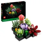 LEGO Botanicals 10309 sukulentide komplekt