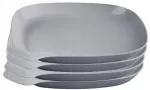 Telkimiseks hallid plastikust taldrikud, 4 tk