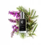 Prantsuse meeste parf&uuml;&uuml;m No. 209, 33 ml aromaatne l&otilde;hnavesi