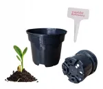 &Uuml;mmargune lillepott 13 cm taimeistikutele
