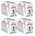 Koerte toit ROYAL CANIN Diabetic, 48 x 85 g