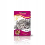 Super Benek Adult niiske kassitoit kanaga, 100g