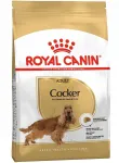 Royal Canin Cocker Adult kuivtoit koertele, 3 kg