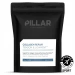 Kollageeni taastav pulber Pillar Performance, 260 g, kotikestes
