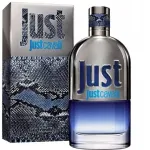 Parf&uuml;&uuml;mvesi Roberto Cavalli Just Cavalli Man, 50 ml
