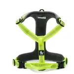 Suuremate koerte rihmad Truelove Lumen XL