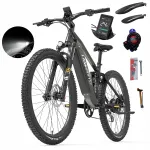 LANKELEISI elektrirataste, 20 Ah, 1000 W, kuni 44 km/h, 29", h&uuml;draulilised pidurid