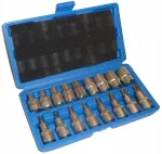 Padrunite ja TORX otsikute komplekt, 1/2", 17 tk