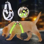 Helendavad koerte rakmed, valged, suurus L, 3 LED-režiimi