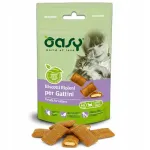Kasside maiused Oasy Kitten, 60 g