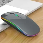 Traadita Bluetooth hiir, 2.4GHz, valgustusega, USB, 1600 dpi, hall (metalliktoon)