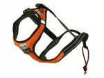 Koera rakmed SPORT SLED, suurus L, oranžid