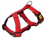 Koera rakmed Dingo Guard, 3 cm, suurus M, punased