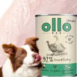 OLLO UMAMI koerakonserv hane- ja kalkunilihaga 400g
