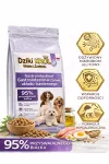 WILD KING GASTRO teraviljavaba koeratoit seedimiseks, 1,5 kg