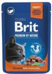 Steriliseeritud kassile Brit Premium l&otilde;hega 100g