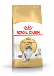 Royal Canin Norwegian Forest Cat Adult kuiv kassitoit, 10 kg
