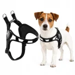 Koera rakmed Jack Russell, 43-58 cm, TRE PONTI Zebra, suurus 2.5
