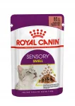 Niiske toit kassidele Royal Canin FHN Sensory Smell kastmes, 85 g