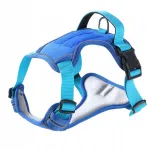 Koerte valjad Lux Pets, helkuriga, sinised, 36&ndash;50 cm, kuni 15 kg