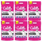 Kassidele m&otilde;eldud silikoonist liivaterad CALITTI Crystals, lavendlil&otilde;hnaga, 6 x 3,8 l