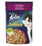 Felix Sensations m&auml;rg kassitoit pardiliha ja spinatiga želatiinis 85 g