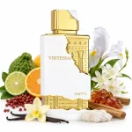 Parf&uuml;&uuml;mitud vesi Riiffs VIRTESA 100ml EDP