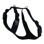 Koera rakmed pehme voodriga, mustad, suurus L (55&ndash;65 cm)