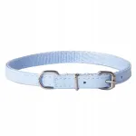 Koera kaelarihm Dingo Basic, 1,0 x 35 cm, sinine