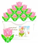 3in1 Flowers & Green Grass pesukapslid, 30 tk