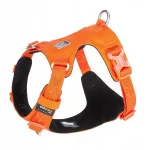 Koera rakmed Adventure Soft Truelove, suurus XL