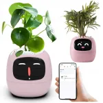 IVY PLANTER lillepott nutika kaanega