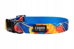 Chaba v&auml;ike reguleeritav koera kaelarihm, 20&ndash;33 cm x 1,6 cm, AUSSIE