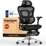 Kontoritool Flexispot Ergox MAX, 300 kg, reguleeritava seljatoe, 3-tasandilise peatoe ja 4D k&auml;etugedega