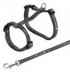 Kassi valjas rihmaga XL GOOD LUCK, 34&ndash;57 cm, 13 mm, mitmev&auml;rviline