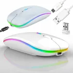 Juhtmevaba hiir Bluetooth ja USB, 2,4GHz, valge, laaditav