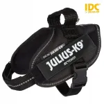 Koera rakmed JULIUS-K9 IDC, Mini-Mini/S, 40&ndash;53 cm, mustad