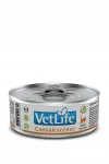 Farmina Vet Life Convalescence kassidele, 85 g