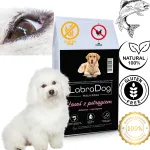 Koeratoit LabraDog Superfood l&otilde;he, forelli ja sparglitega, 6 kg