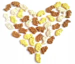 Koerte k&uuml;psised MACED Vanilla Biscuits ANIMALS, 1 kg