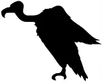 Taustata kleebis autole, mootorrattale v&otilde;i kiivrile VULTURE lind, 18 x 22,4 cm