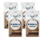 Kasside toit Forza10 Intestinal Colon, 4 x 400 g