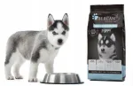 IBERCAN PUPPY koeratoit linnuliha ja vasikalihaga, 15 kg