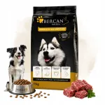 IBERCAN PREMIUM kuivtoit koertele Iberico veiselihaga, 15 kg
