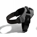 Koera rakmed Zee Dog Urban Flyharness, suurus 2