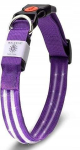 Valgustav LED-koera kaelarihm, reguleeritav, USB, violetne, S suurus
